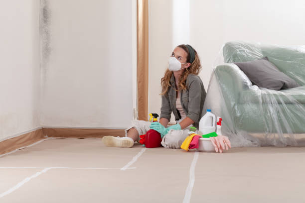 Reliable Attic Mold Removal contractor in Afton, MN by WQB Mold Removal